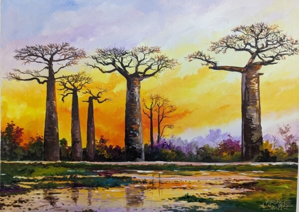 Baobab Mody Masoandro